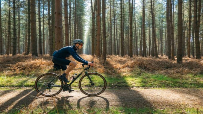 Gravel o strada? La guida definitiva alle bici più innovative del momento